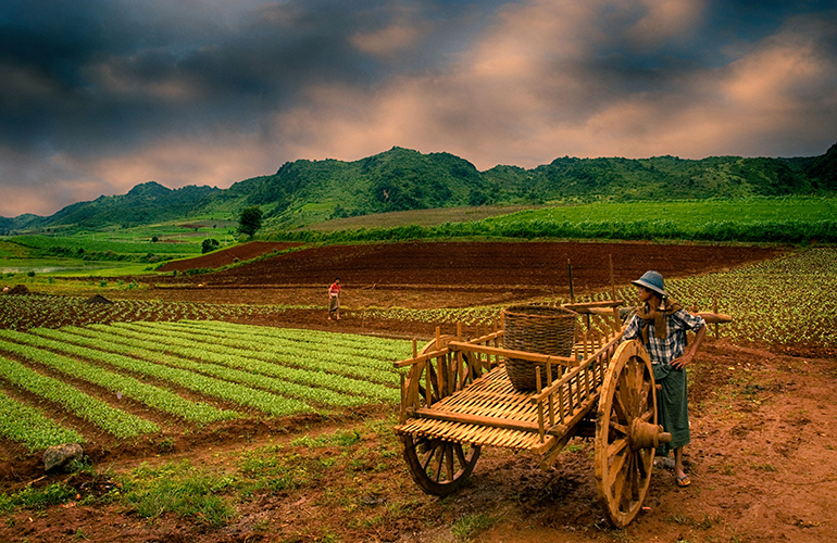 Myanmar Border Crossing 2021